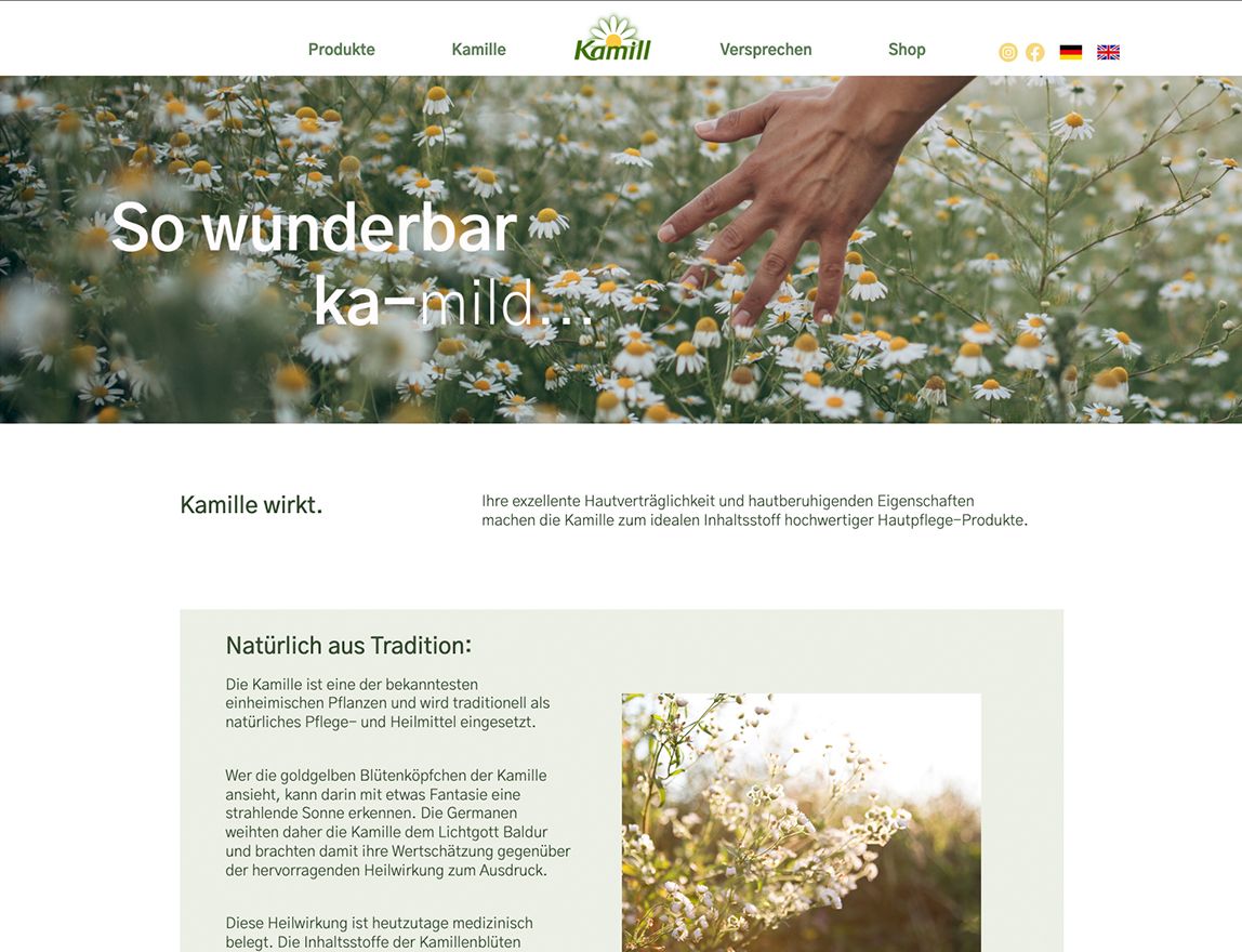 Screenshot vom Projekt Kamill