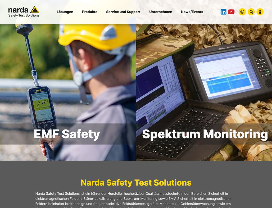 Screenshot vom Projekt Narda