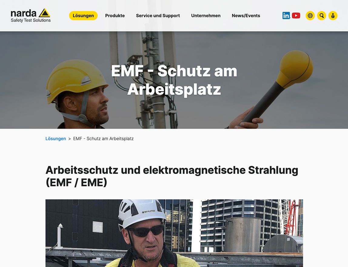 Screenshot vom Projekt Narda