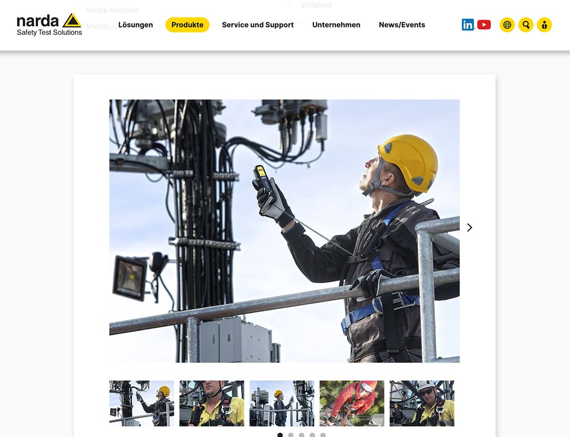 Screenshot vom Projekt Narda