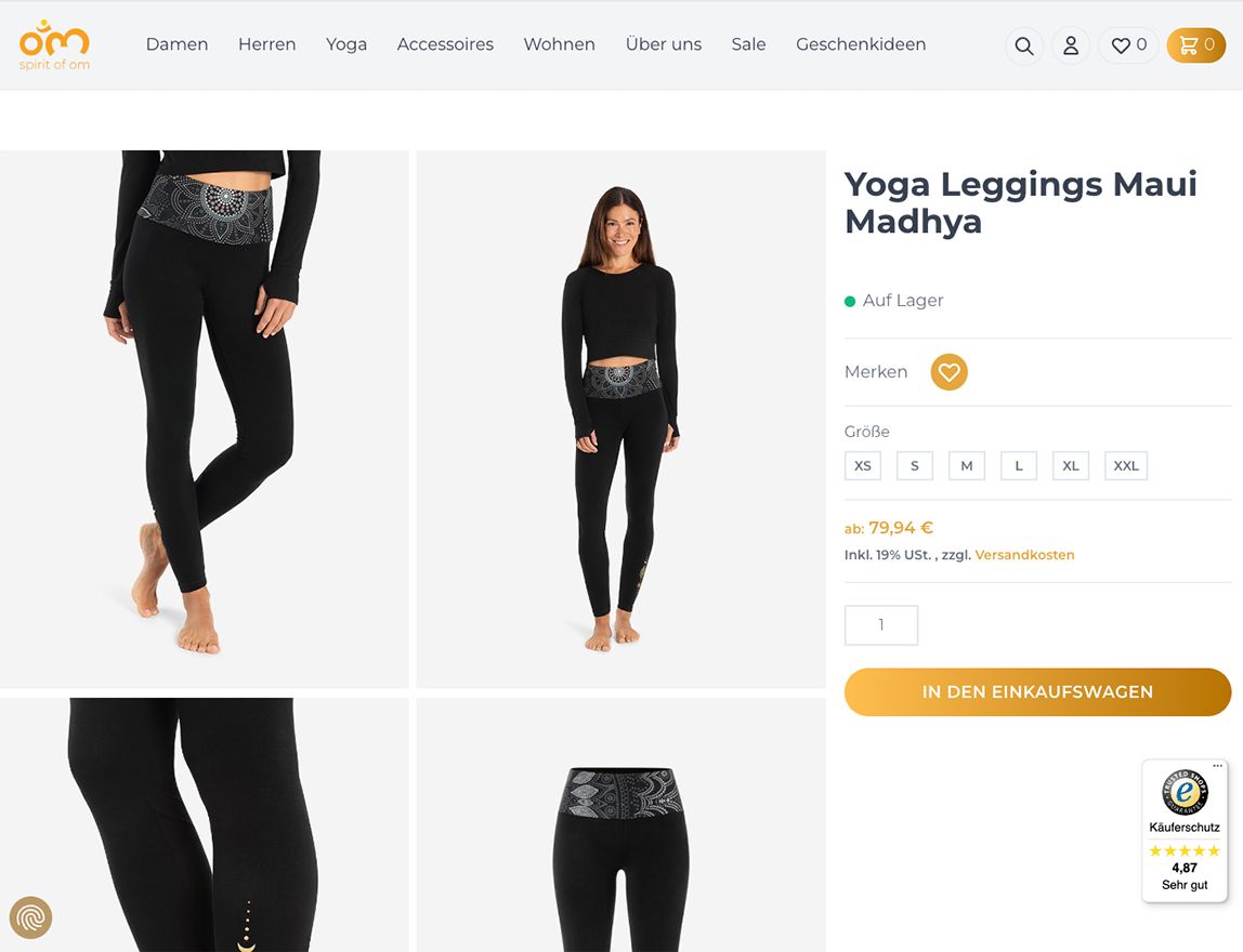 Screenshot vom Projekt Spirit of Om