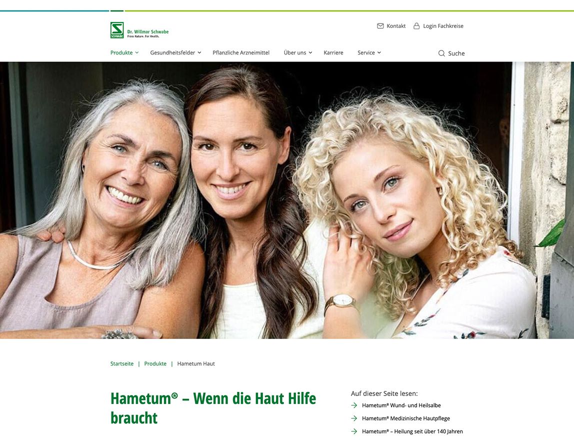 Screenshot vom Projekt Schwabe