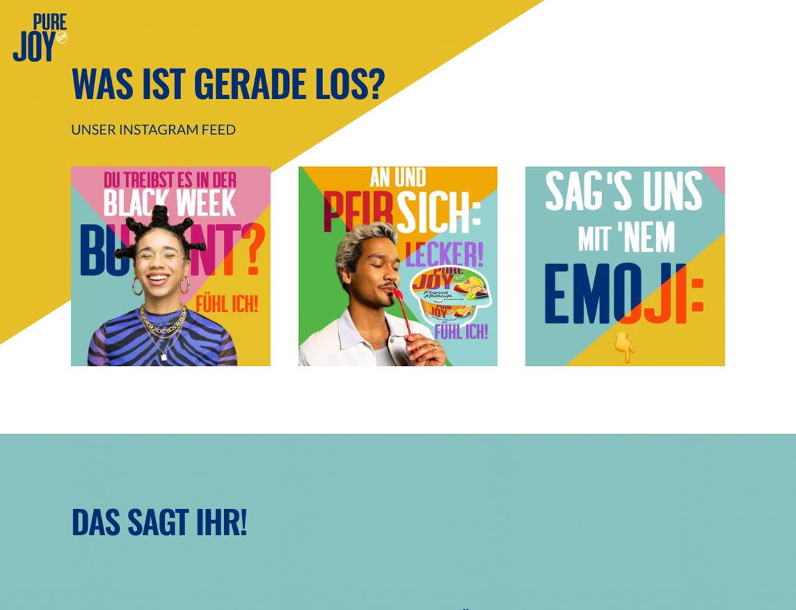 Screenshot vom Projekt Zott PureJoy