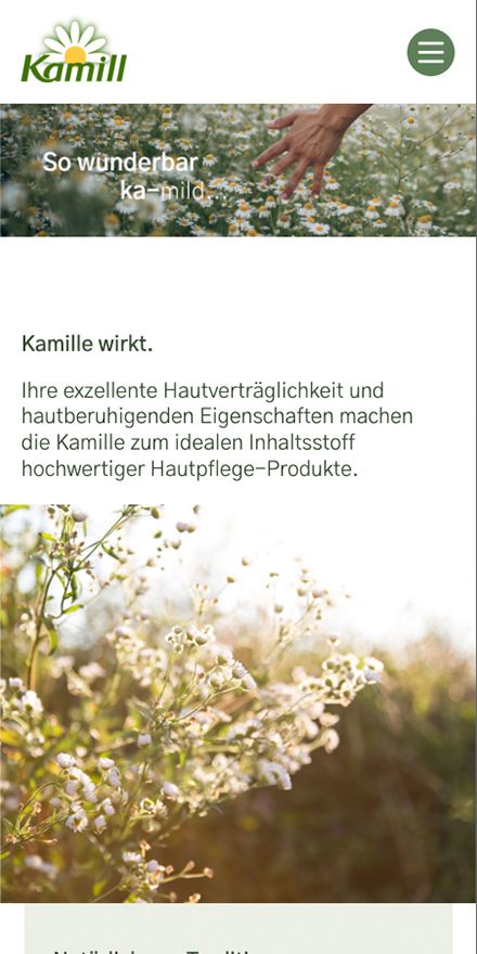 Screenshot vom Projekt Kamill