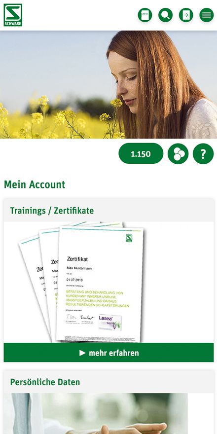 Screenshot vom Projekt Schwabe Fackkreise