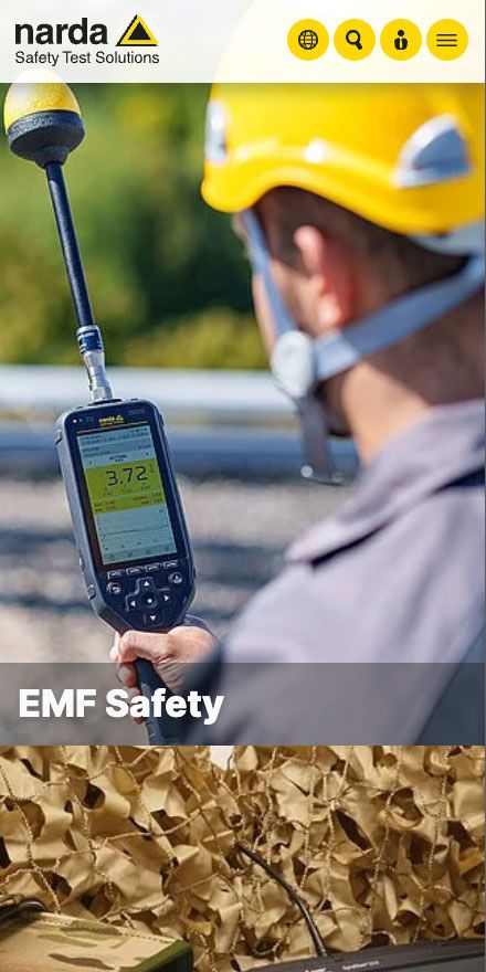 Screenshot vom Projekt Narda